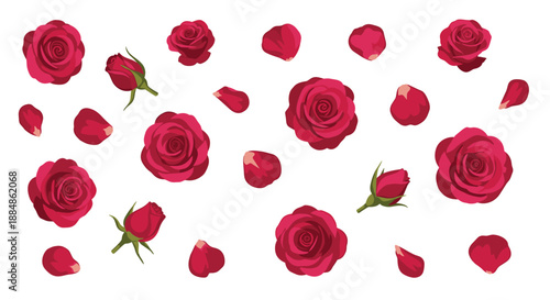 A scattered collection of red roses and petals on a white background, suggesting romance.