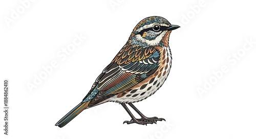 A detailed illustration of a small, colorful bird with intricate patterns on its feathers, perched on a white background.