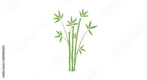 A simple, stylized illustration of a cluster of green bamboo stalks with leaves, isolated against a plain white background.