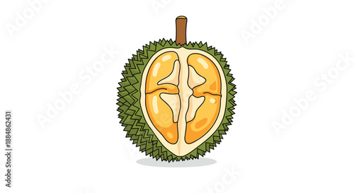 A cross-section of a whole durian fruit revealing its characteristic segmented yellow flesh and seeds, set against a white background.