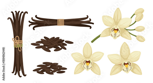 A collection of dark brown vanilla beans, scattered vanilla seeds, and delicate white orchid flowers arranged on a white background.