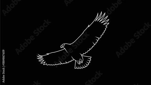 Majestic white outline illustration of an eagle flying with wings spread against a stark black background. Powerful bird of prey silhouette.