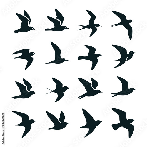 Bird Species and Avian Wildlife Icon Set