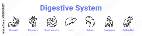 Digestive System Icon Banner and Collection