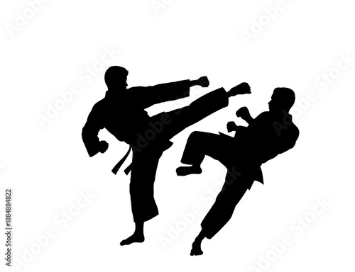 Intense Martial Arts Combat Duel Action Silhouette
