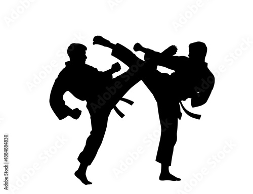 Professional Karate Fighter Performing a High Kick Silhouette
