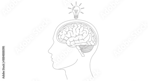 Illustration of a human head with a detailed brain and a glowing light bulb symbolizing an idea.