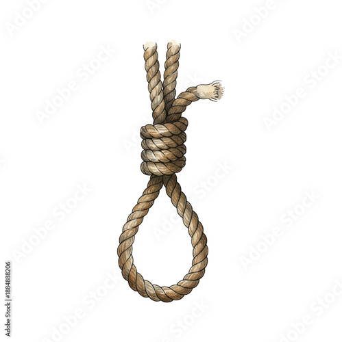Noose Knot Made From Braided Brown Rope Detailed Vector Illustration on White Background