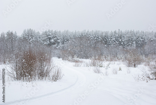 Winter weather beautiful landscape with trees covered with snow on a background of gray clouds.