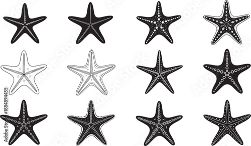 Black and white vector collection of starfish silhouettes and sea star illustrations for marine life beach decor ocean themed design and summer coastal vacation graphics