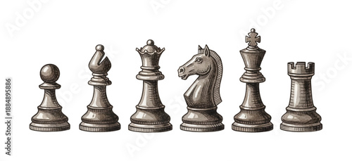 Full Set of Chess Pieces Displaying Pawn Bishop Queen Knight King and Rook in Classic Engraved Art