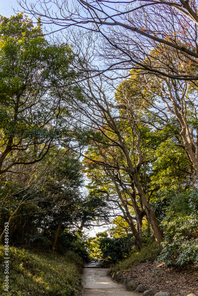 Obraz premium 都心散歩 浜離宮の散策