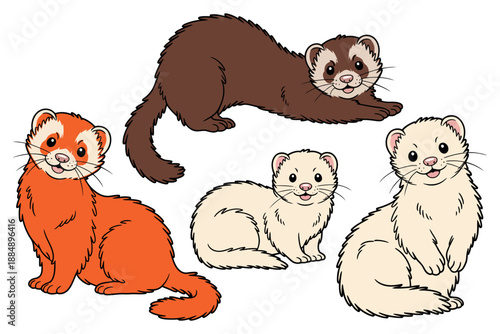 A group of ferrets in different colors and poses on a white background