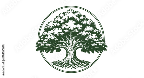 Detailed artistic illustration of a large tree with spreading branches inside a circular frame.