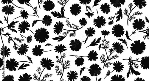 Chamomile Flower Pattern Vector Background: Hand Drawn Botanical Silhouette Illustration with Black Daisy Floral Elements and Meadow Herbs  
