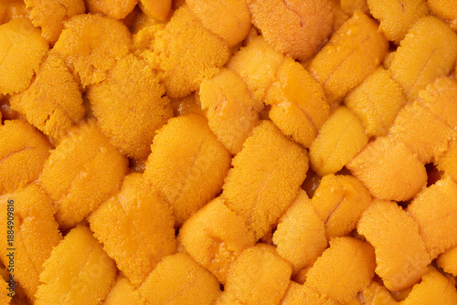 Wallpaper Mural 新鮮な生のエゾバフンウニのクローズアップ Torontodigital.ca