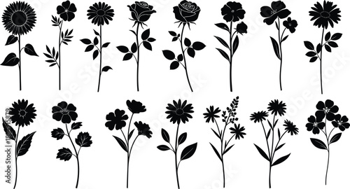 Floral flower silhouettes vector illustration collection, botanical wild garden plants set, minimalist black blossoms for spring summer decor design elements posters branding