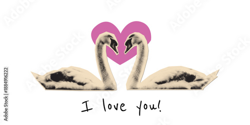 Swan couple collage element, newspaper cutout popart sticker.