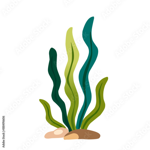 Seaweed in Flat Cartoon Style for Underwater Design