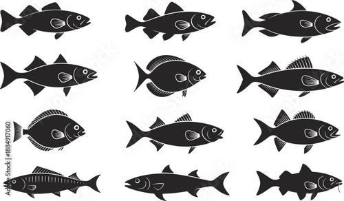 Fish silhouette vector set, marine animals illustration, underwater wildlife collection, fishing and sea life design, 