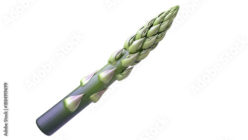 Single Green Asparagus Spear