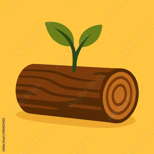 Sustainable Wood Industry and Reforestation