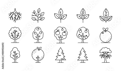 Thin line vector tree icon set featuring roots, branches, leaves, and fruit trees for web and app design