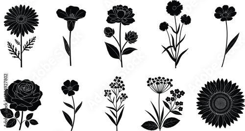 Collection of black agricultural plant silhouettes with detailed root systems, including corn, seedlings, vegetable crops, and farm botanical icons, isolated.