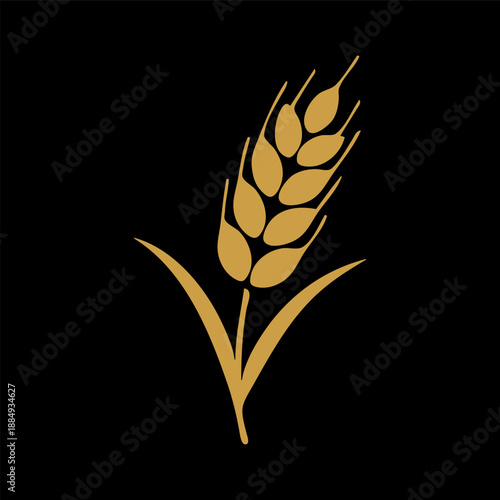 rice plant vector