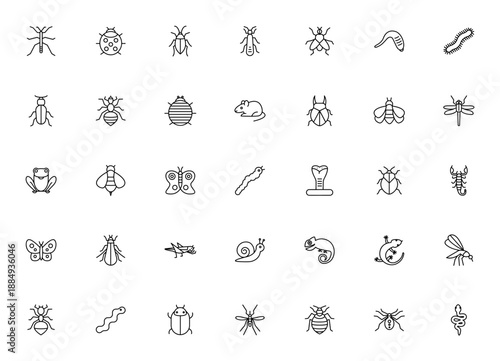 Insects icon set. Vector collection of bug, beetle, butterfly, spider, snake, frog and more. Minimal thin line wildlife symbols.