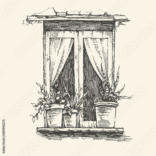 Vintage hand-drawn illustration of a closed wooden window with draped curtains and potted plants on the sill, in a charming sketch style.