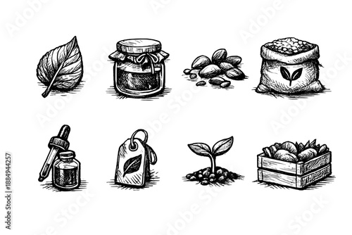 Hand-drawn icons representing organic farming, natural products, and growth stages