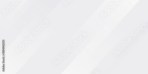 White abstract background. Silver effect texture. Light gray colour textur. Grey platinum pattern. Modern backdrop. Gradient delicate surface print. Design bg for business prints.