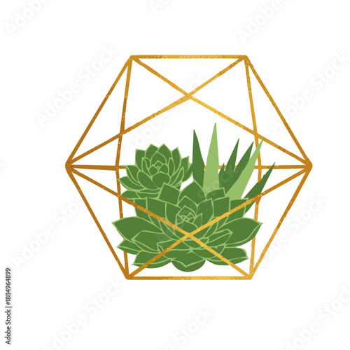 Geometric vector illustration of a succulent plant inside a gold wire terrarium, clean thin lines, luxury modern office decor style, isolated on white...-..ai