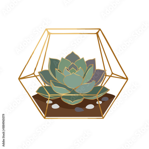 Geometric vector illustration of a succulent plant inside a gold wire terrarium, clean thin lines, luxury modern office decor style, isolated on white....ai