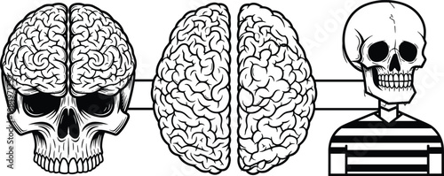 Conceptual vector illustration set featuring human skull with brain anatomy separated hemispheres and a stylized skeleton character in striped shirt.