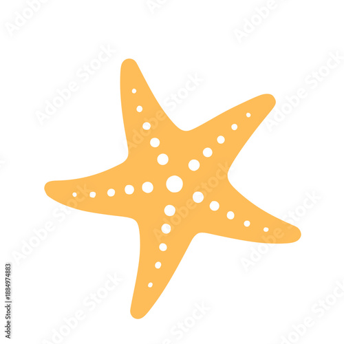 starfish isolated on white background