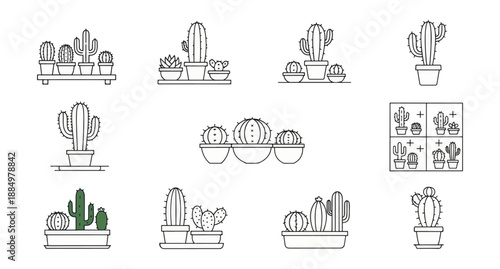 set of cactus plants vector
