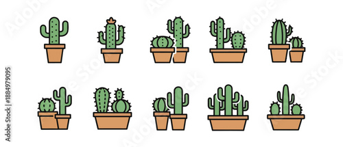 set of cactus plants vector