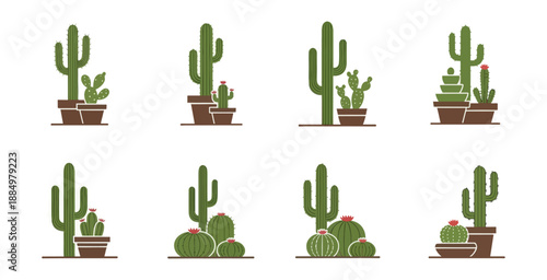 set of cactus plants vector