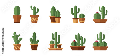 set of cactus plants vector