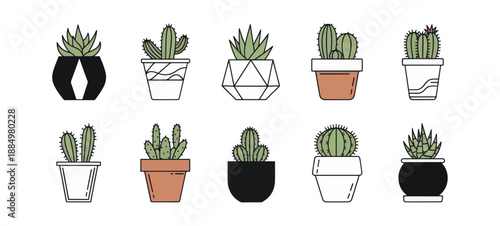 cactus in pots vector
