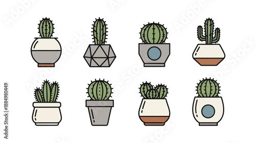 cactus in pots vector