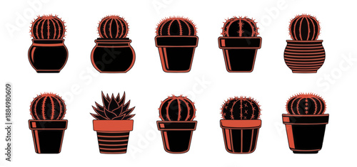 set of cactus plants vector