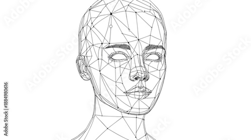 Digital Human Head Wireframe Facial Structure.