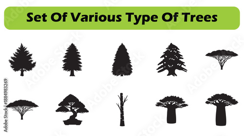 Set of Various Tree Types Flat Vector Icons for Nature and Landscape Design
