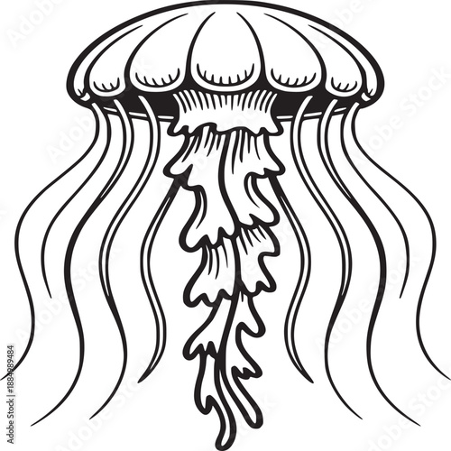 A black and white line drawing of a jellyfish with long tentacles on a white background simple design