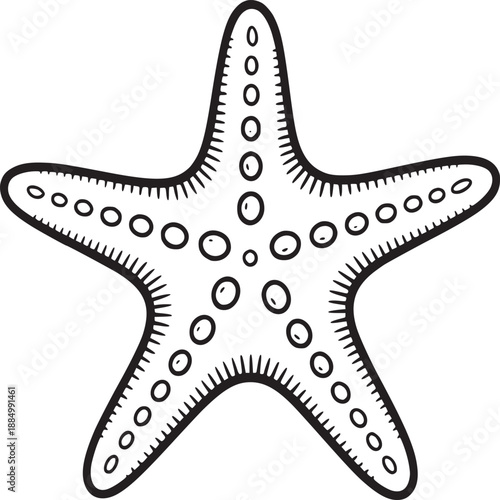 Illustration of a starfish with black outline and circular markings on a white background