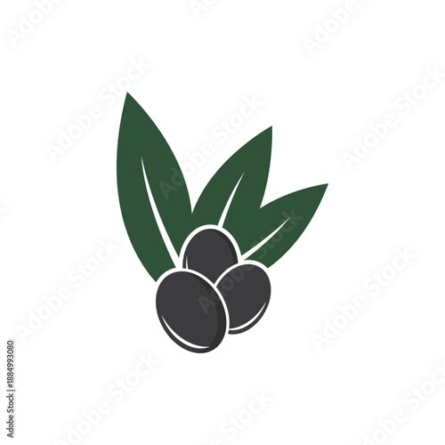 olive oil logo icon illustration