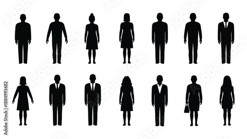 Silhouettes of professionals in business attire isolated on white background, Vector